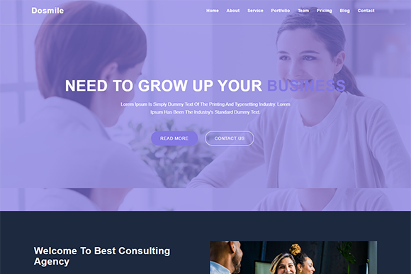 Dosmile Consulting & Business Template